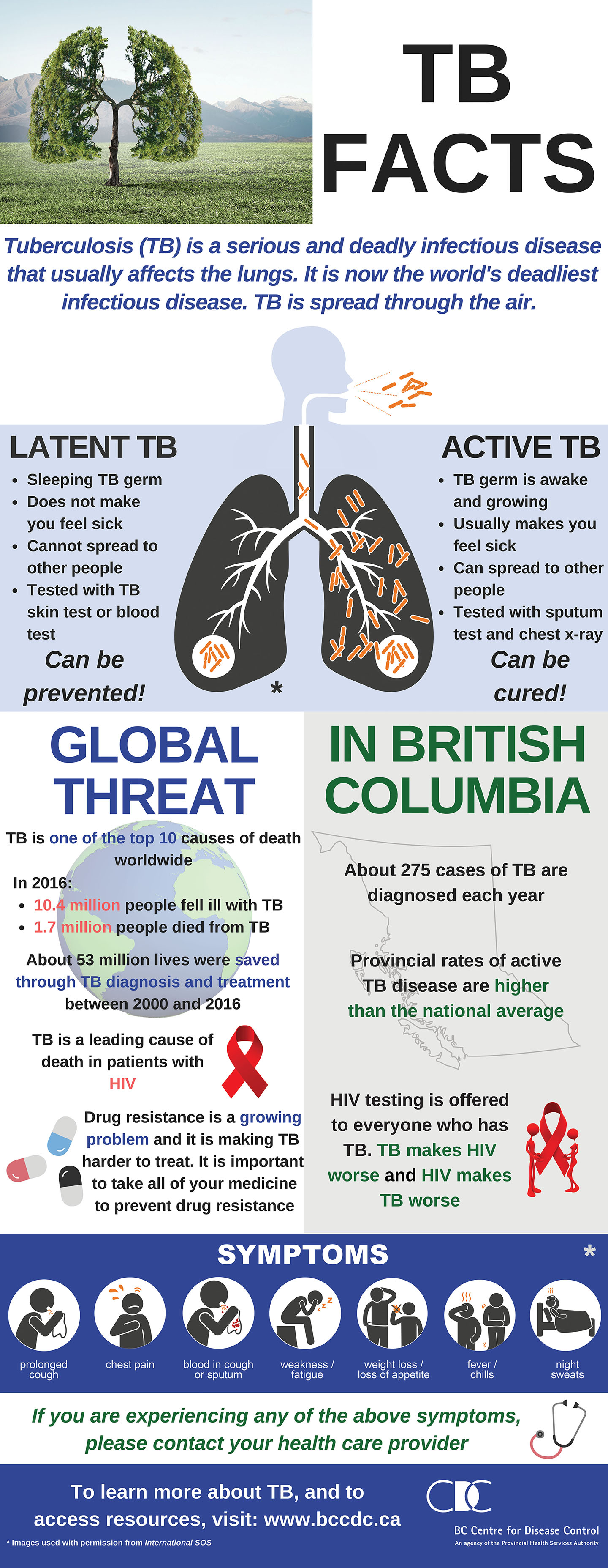 About Tuberculosis